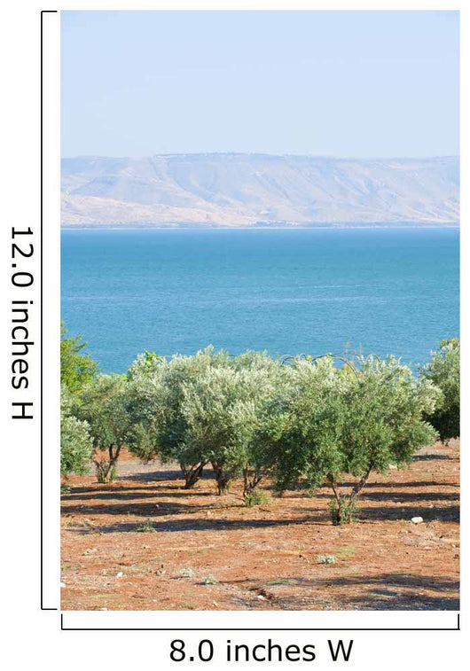 Sea Galillee Capernaum Wall Decal