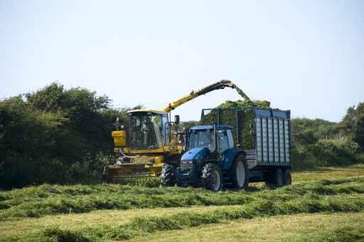 Silage 2 Wall Decal