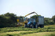 Silage 2 Wall Decal