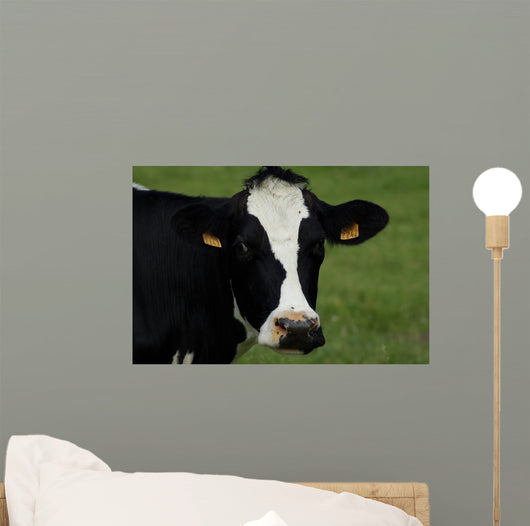 Tte Vache Wall Decal