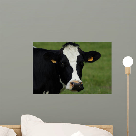 Tte Vache Wall Decal