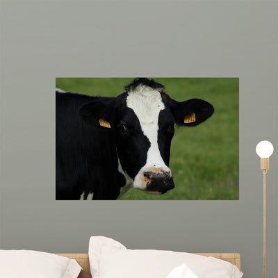 Tte Vache Wall Decal shown on a wall