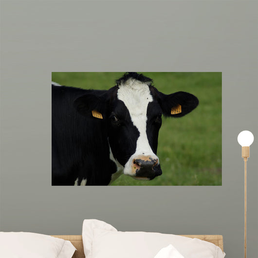 Tte Vache Wall Decal