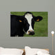 Tte Vache Wall Decal