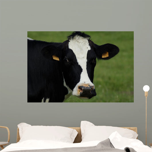 Tte Vache Wall Decal