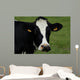 Tte Vache Wall Decal