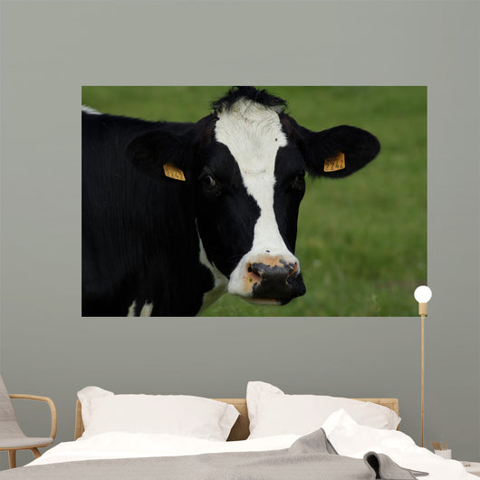 Tte Vache Wall Decal