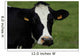 Tte Vache Wall Decal