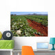 Farm Fields Wall Decal Design 1