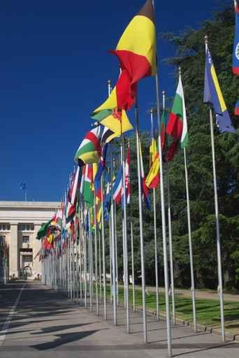 International Flags Row Wall Decal
