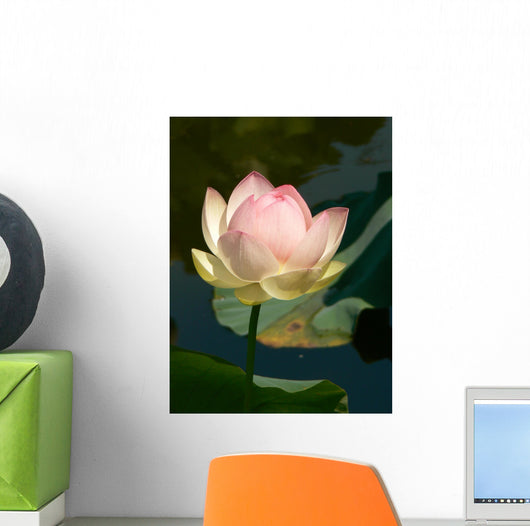 Lotus Wall Decal Design 1