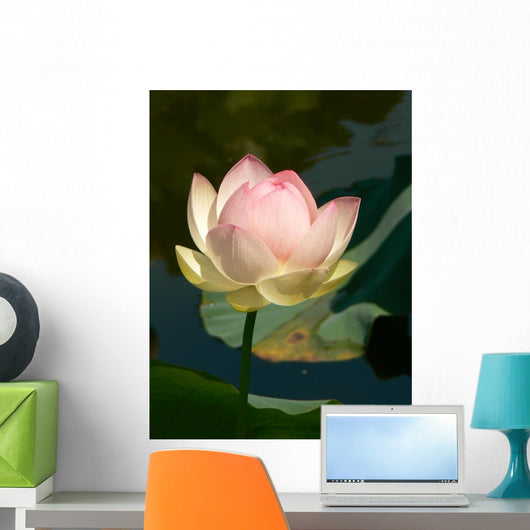 Lotus Wall Decal Design 1