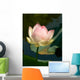 Lotus Wall Decal Design 1