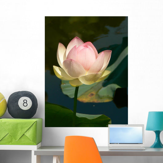 Lotus Wall Decal Design 1