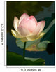 Lotus Wall Decal Design 1