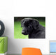 Sad Puppy Wall Decal