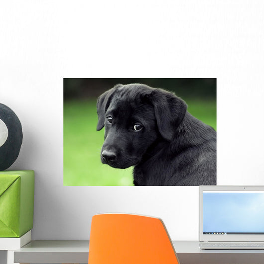 Sad Puppy Wall Decal