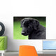 Sad Puppy Wall Decal