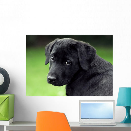 Sad Puppy Wall Decal