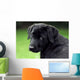 Sad Puppy Wall Decal