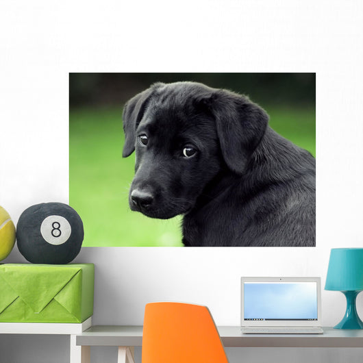 Sad Puppy Wall Decal