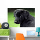 Sad Puppy Wall Decal