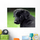 Sad Puppy Wall Decal