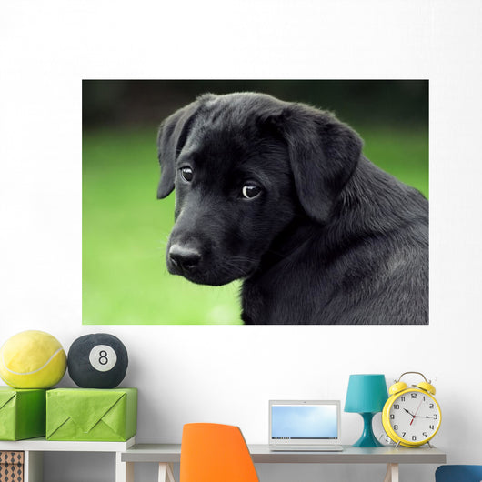Sad Puppy Wall Decal