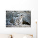 Snow Leopard Wall Decal