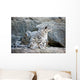 Snow Leopard Wall Decal