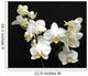 White Orchids Wall Decal