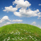 Ecology Landscape Wall Decal