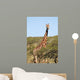 Giraffe Wall Decal Design 1