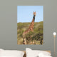 Giraffe Wall Decal Design 1