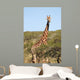 Giraffe Wall Decal Design 1