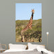 Giraffe Wall Decal Design 1