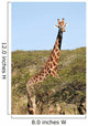 Giraffe Wall Decal Design 1