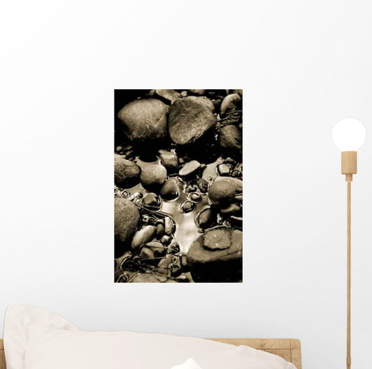 Rock Reflections Wall Decal