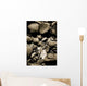 Rock Reflections Wall Decal