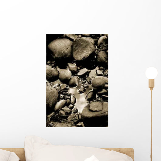 Rock Reflections Wall Decal