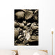 Rock Reflections Wall Decal
