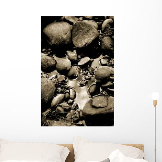 Rock Reflections Wall Decal