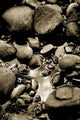 Rock Reflections Wall Decal