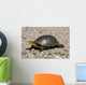 Endangered Blanding's Turtle Wild Wall Decal