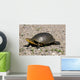 Endangered Blanding's Turtle Wild Wall Decal