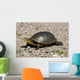 Endangered Blanding's Turtle Wild Wall Decal