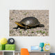 Endangered Blanding's Turtle Wild Wall Decal