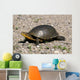 Endangered Blanding's Turtle Wild Wall Decal