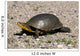 Endangered Blanding's Turtle Wild Wall Decal