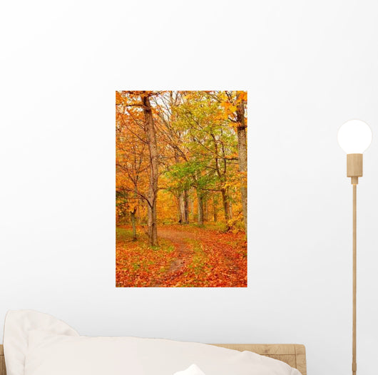 Fall Forest Road Wall Decal
